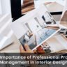 Professional Project Management